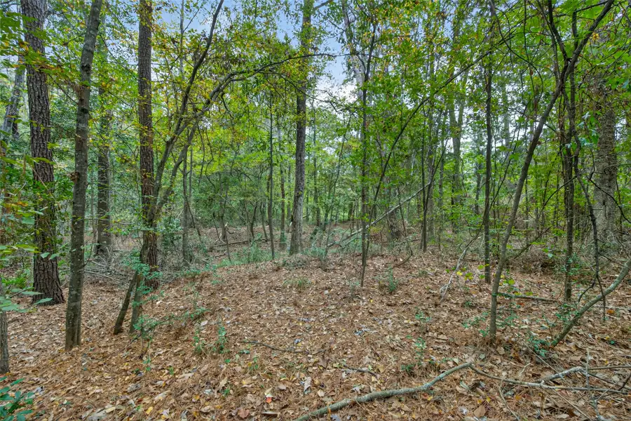 Lot 410 North Woods, Cleveland, TX 77328 - Image #3