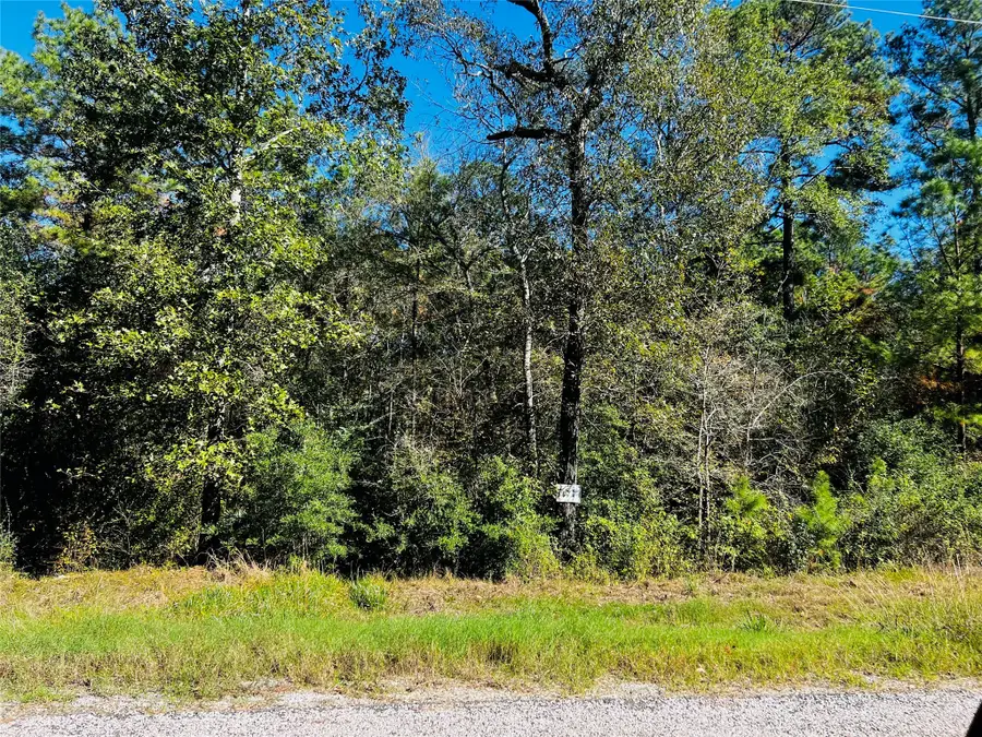 TBA Stagecoach Circle, Huntsville, TX 77340 - #3