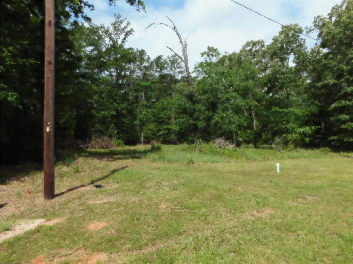 195 Moonlite Drive, Livingston, TX 77351 - #1
