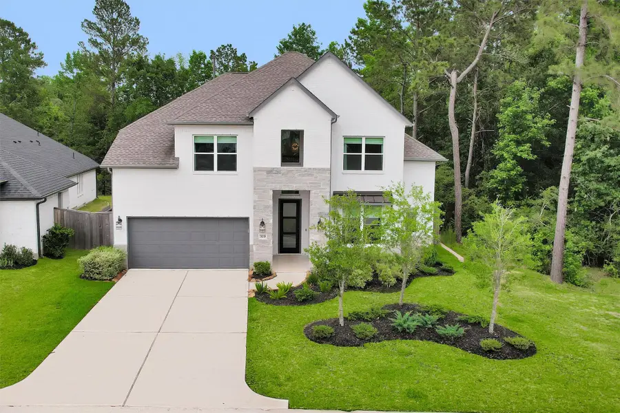 319 Samuels Link Lane, Montgomery, TX 77316 - #2
