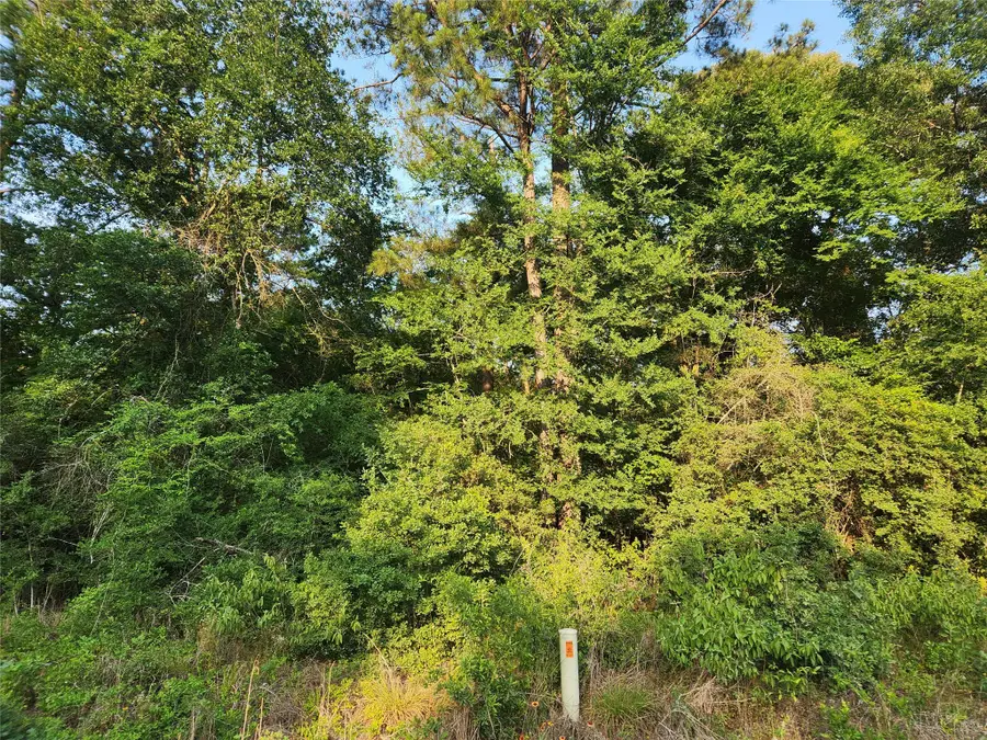 Lot 14 Pineknoll Drive, Plantersville, TX 77363 - Image #3