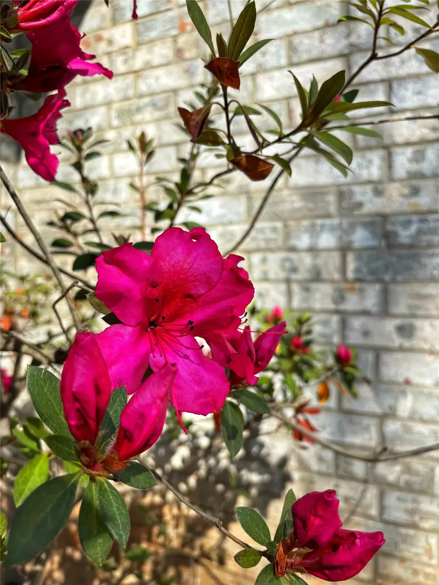 1470 Fm 2712, Crockett, TX 75835 - #2