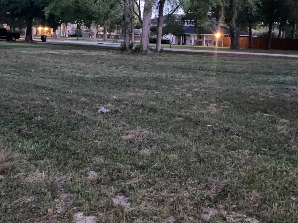 21314 Briar Oak Drive, Humble, TX 77338 - Image #1