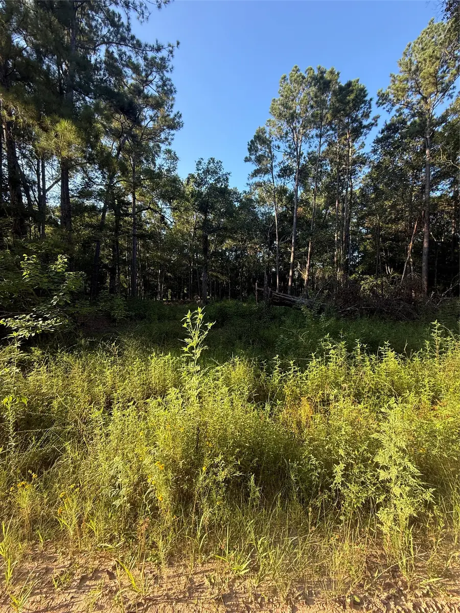 TBD Charlie Pride Drive, Livingston, TX 77351 - #3