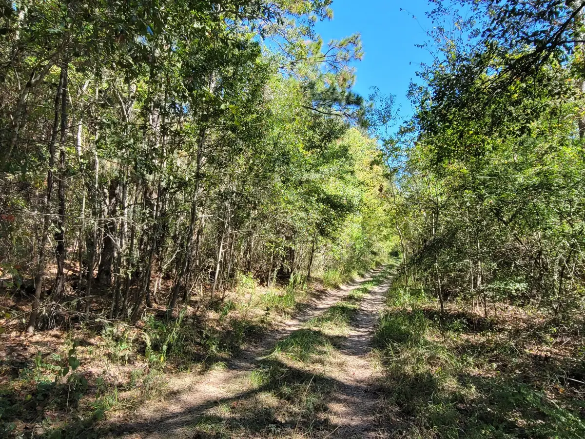 10785 Fm-2518, Cleveland, TX 77327 - Image #1