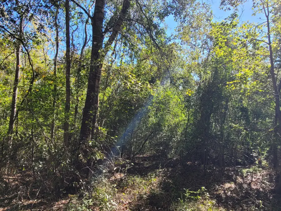 10785 Fm-2518, Cleveland, TX 77327 - Image #2