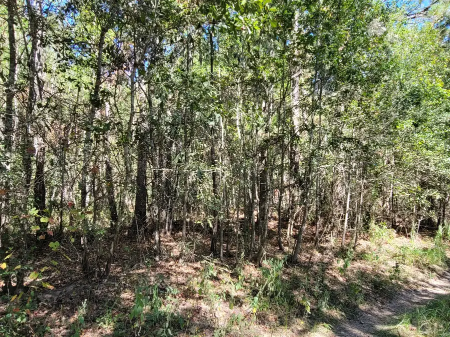 10785 Fm-2518, Cleveland, TX 77327 - Image #3