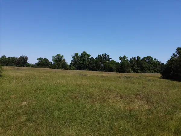 TBD County Road 295, Garrison, TX 75946