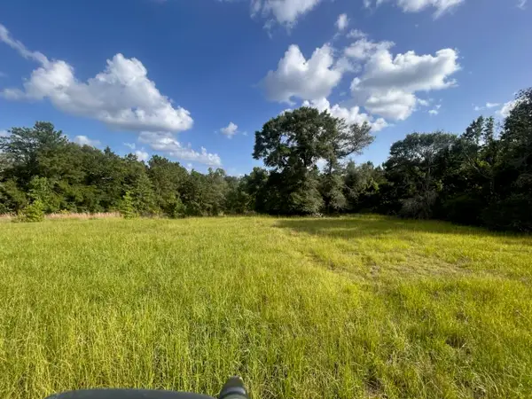 LOT 184 & 185 Hunters Creek, Hillister, TX 77624