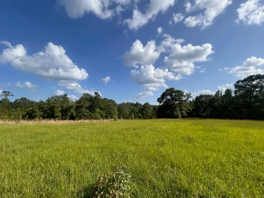 LOT 184 & 185 Hunters Creek, Hillister, TX 77624 - Image #2
