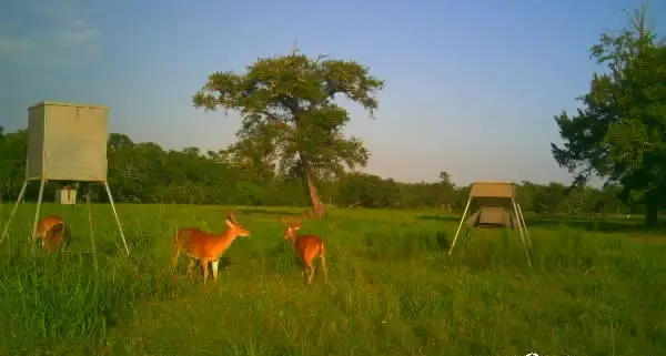 2015 County Road 740, Brazoria West Columbia, TX 77480 - Image #1