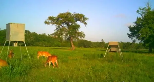 2015 County Road 740, Brazoria West Columbia, TX 77480 - Image #3