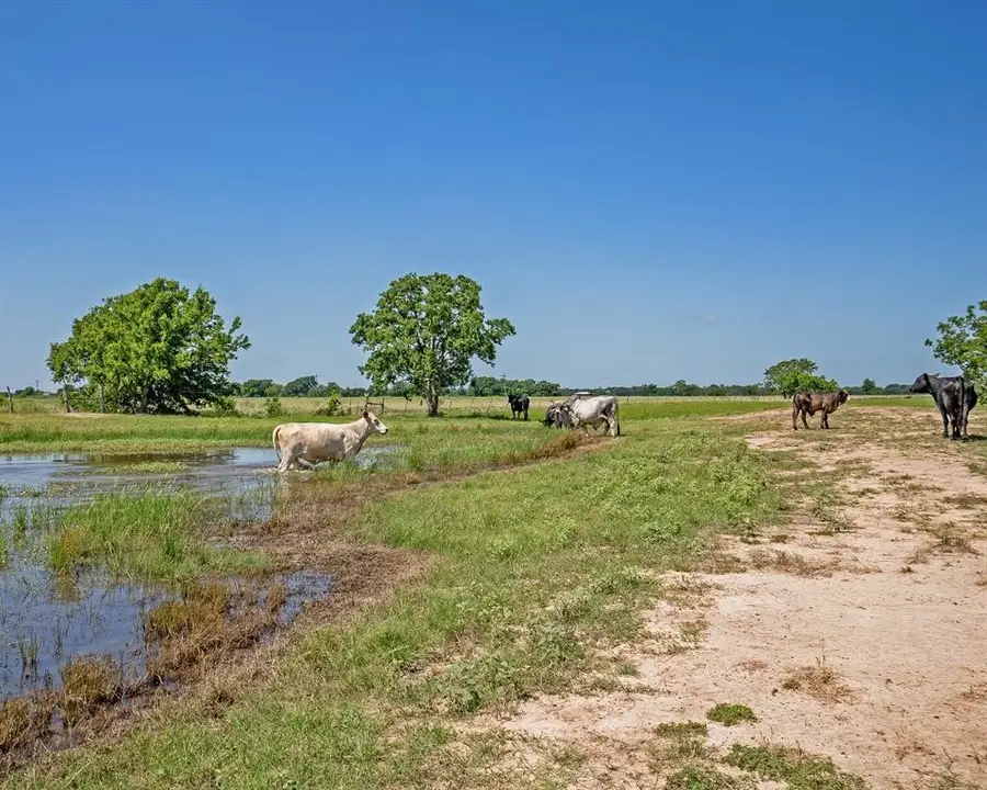 0 County Road 289, East Bernard, TX 77435 - Image #3