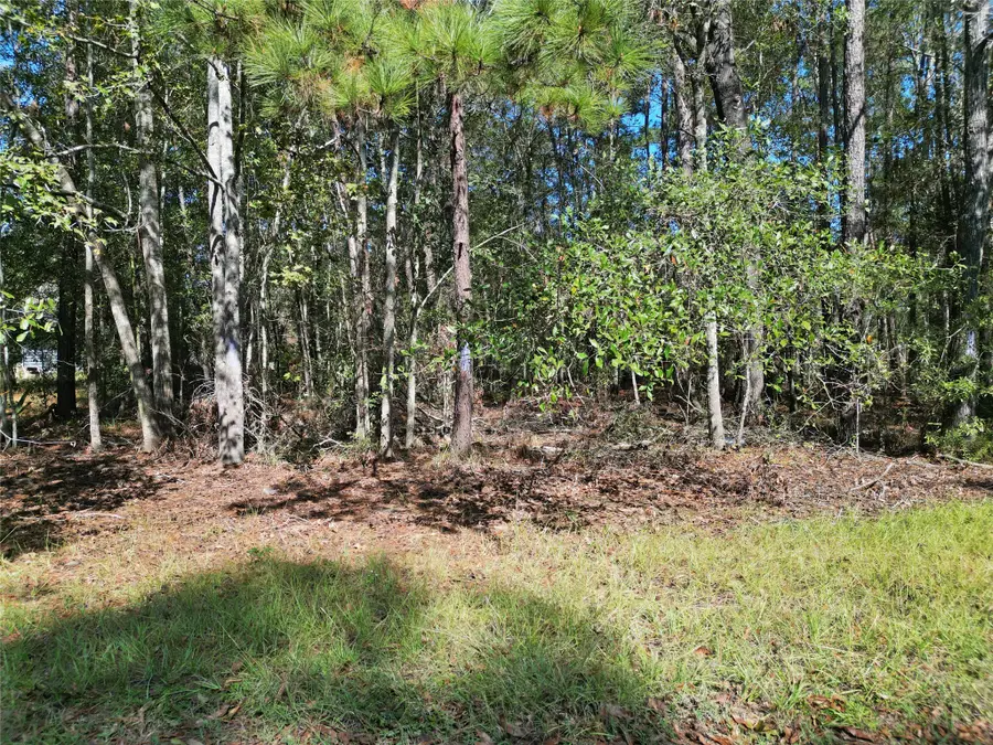 Lot 29 Sims Road, Cleveland, TX 77328-6204 - Image #3