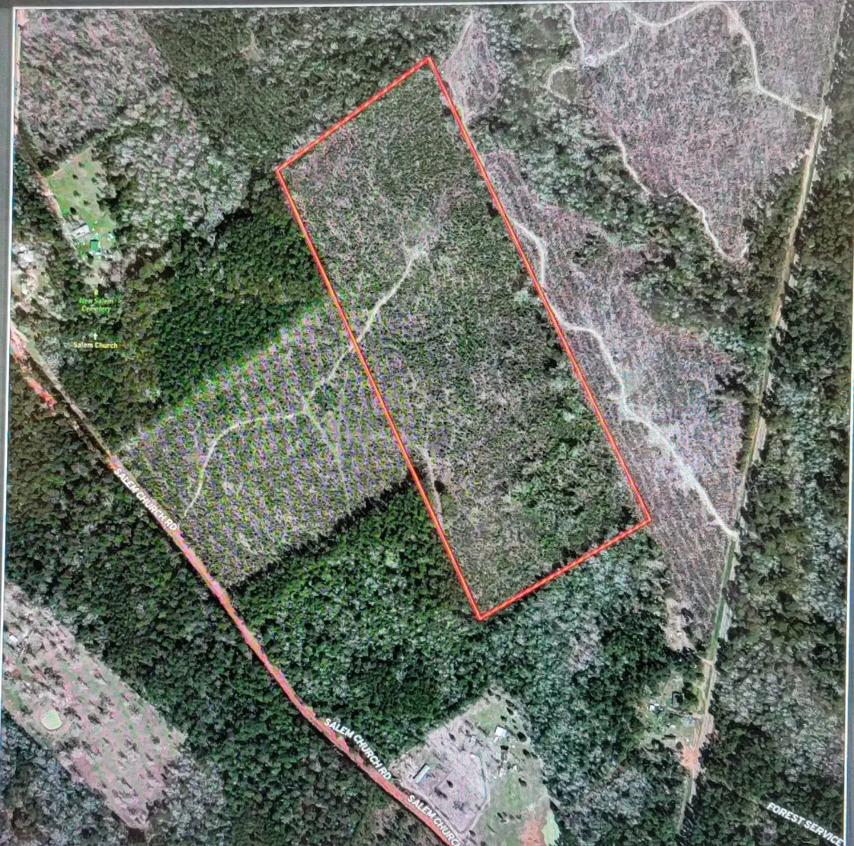 TBD Fm-3081, Willis, TX 77378 - Image #1