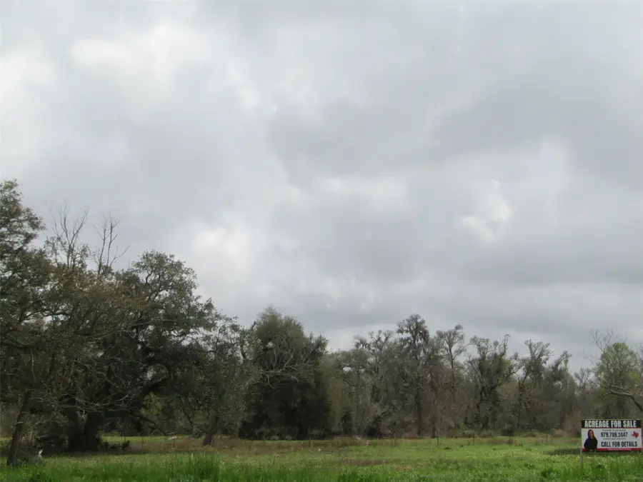 2481 Fm 521 Road, Brazoria, TX 77422 - #2
