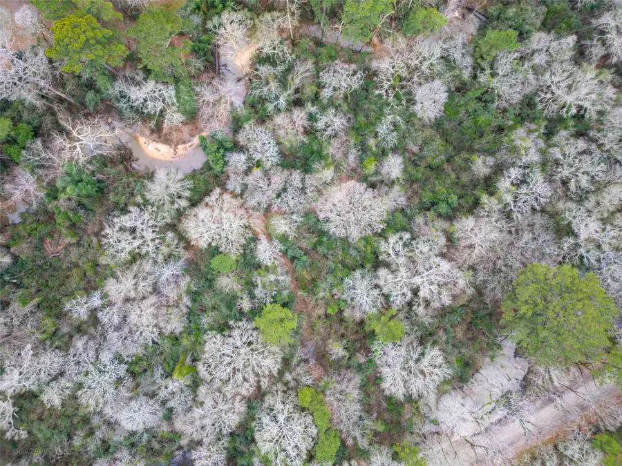 25415 N Clear Creek Road, Hockley, TX 77447 - Image #3