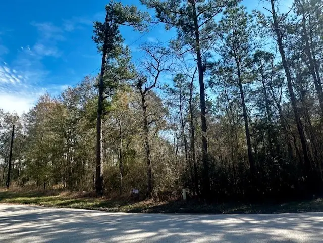 n/a Robinhood Ct / Robinhood Ln, Hockley, TX 77447 - Image #3