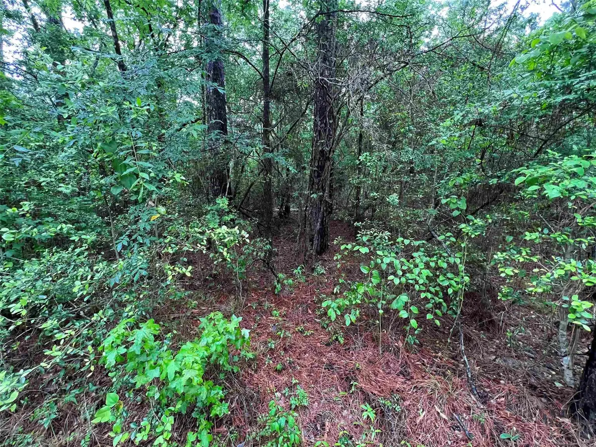 002 Parkside, Brookeland, TX 75931 - #1