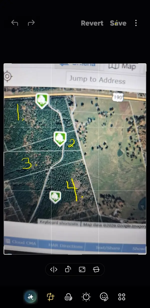 TBDParcel # 130757 Hwy 190, Point Blank, TX 77364