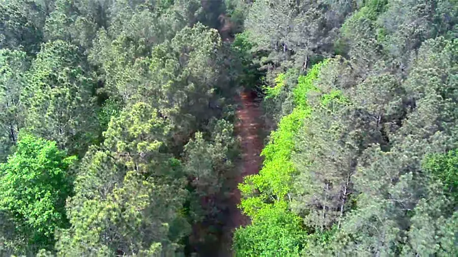 TBDParcel # 130757 Hwy 190, Point Blank, TX 77364 - #3