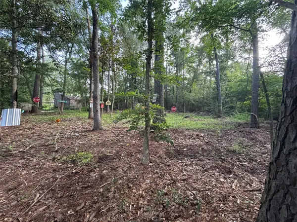 0 Long Drive, Conroe, TX 77302