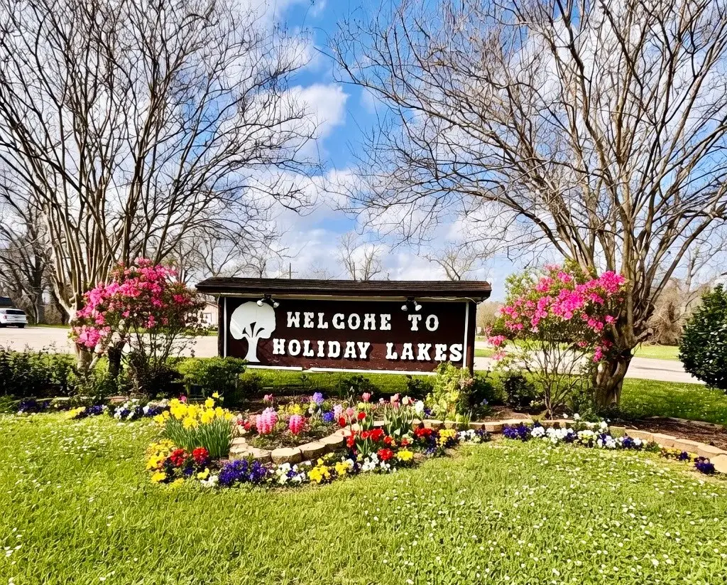 lot 22 Igloo Lane, Holiday Lakes, TX 77515 - #1