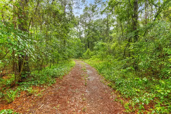 TBD Whispering Pines Lane, Plantersville, TX 77363