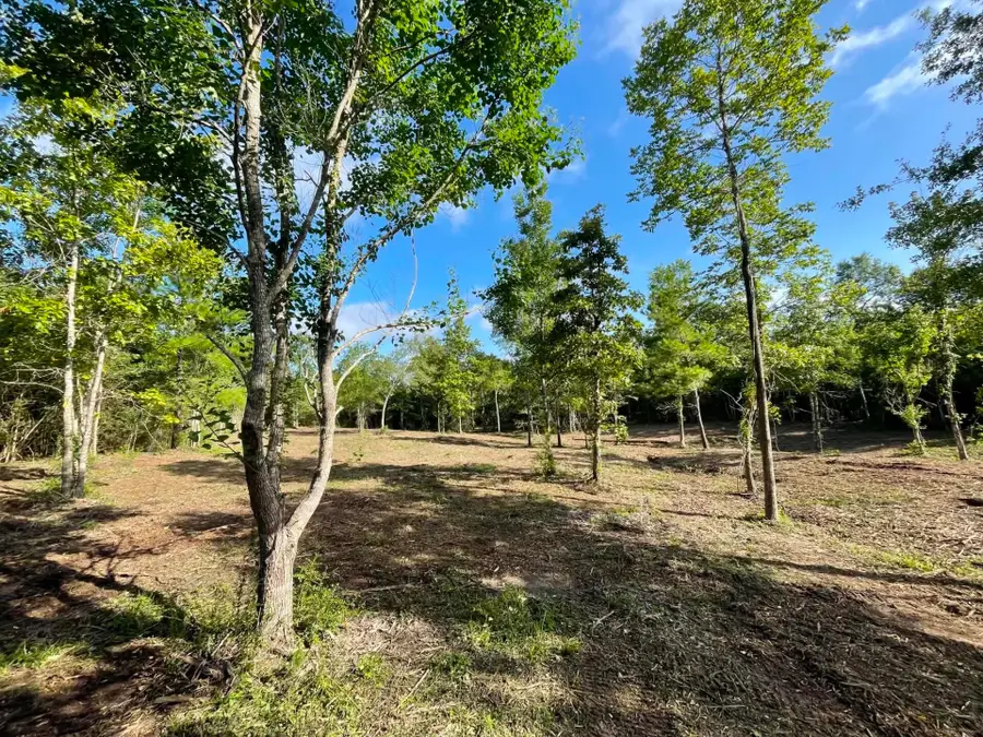 Lot 6 E Fm 942, Livingston, TX 77351 - #2