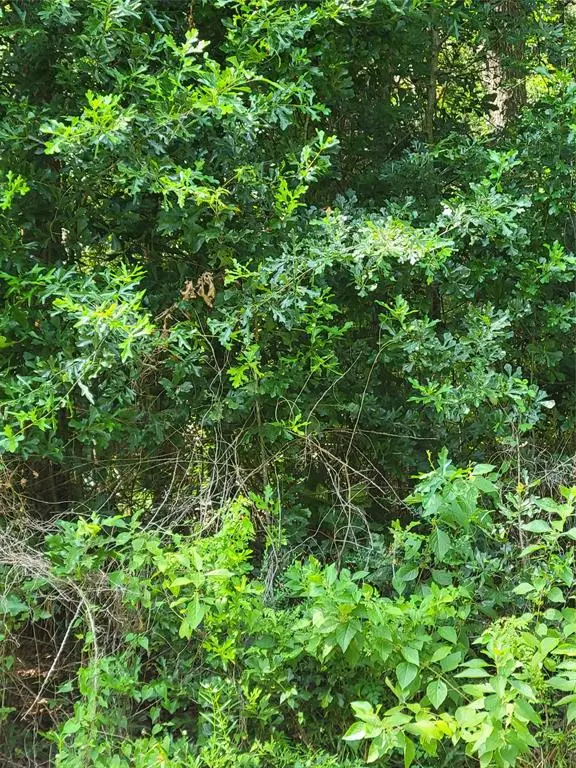 27735 Mid Lane, Splendora, TX 77372 - Image #1