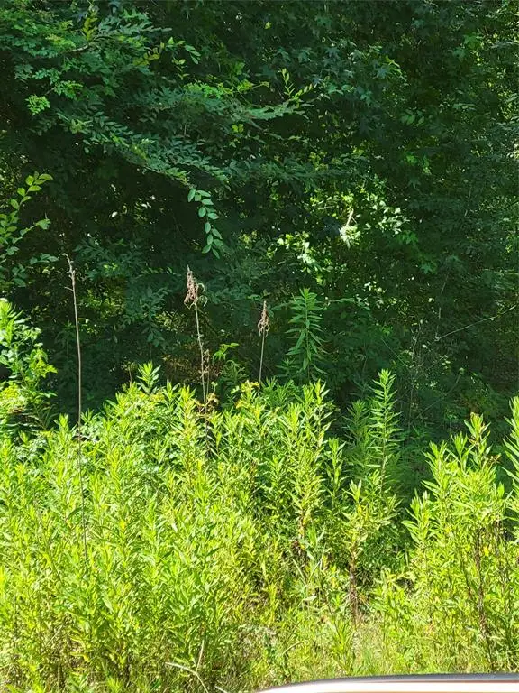 27735 Mid Lane, Splendora, TX 77372 - Image #2