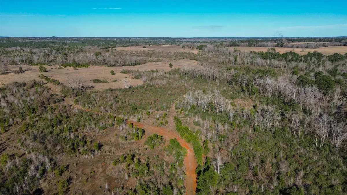 000 County Road 2240, Grapeland, TX 75844 - Image #1