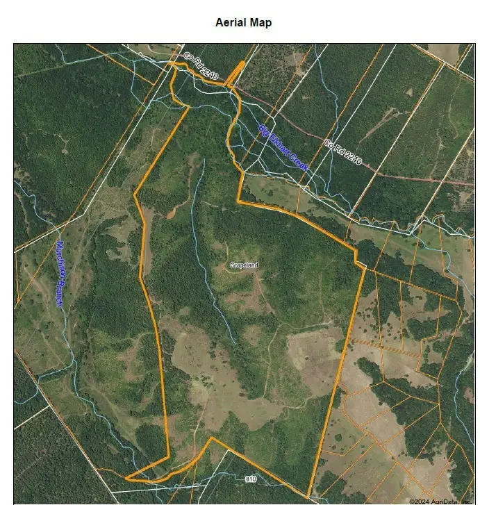 000 County Road 2240, Grapeland, TX 75844 - Image #2