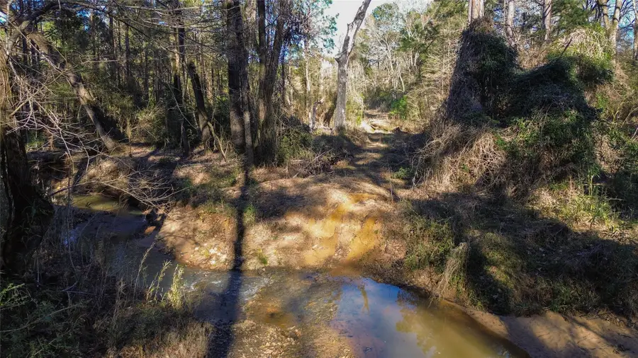 000 County Road 2240, Grapeland, TX 75844 - Image #3