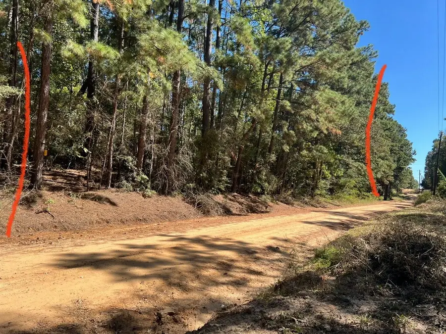 0 Monroe Drive, Livingston, TX 77351 - Image #3