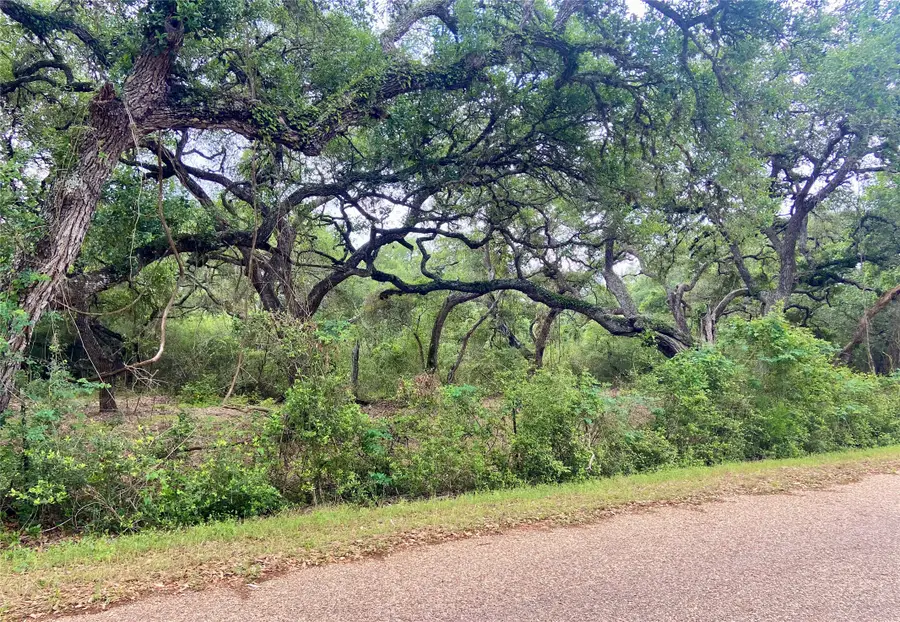 TBD Loose Cow Road, Garwood, TX 77442 - Image #2