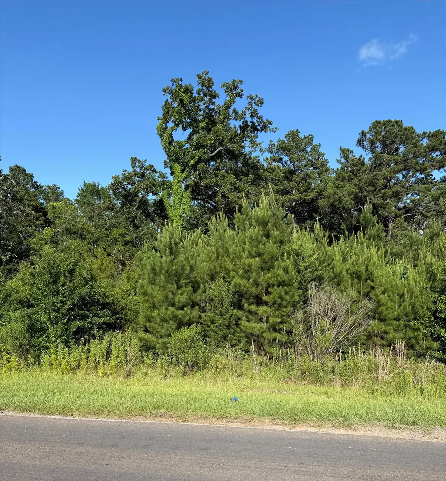 0 N Hendrix Avenue, Diboll, TX 75941 - #2