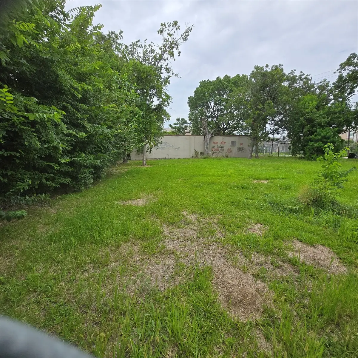 1208 Wilson Street, Houston, TX 77019 - Image #1