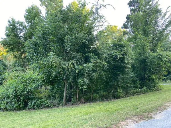 01 White Oak Drive, Point Blank, TX 77364
