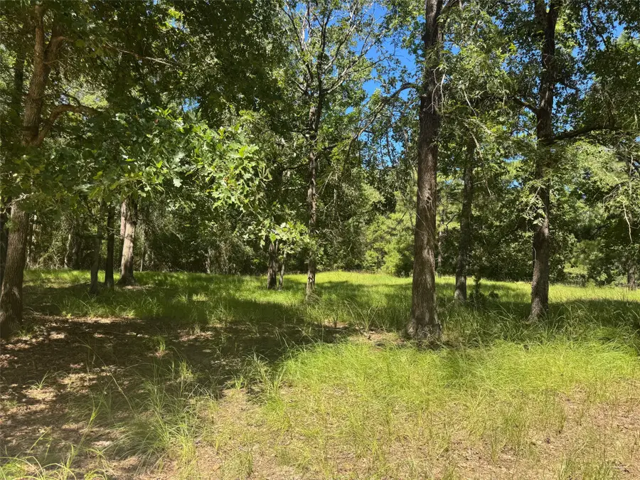390 Pr 5200, Kennard, TX 75847 - Image #3