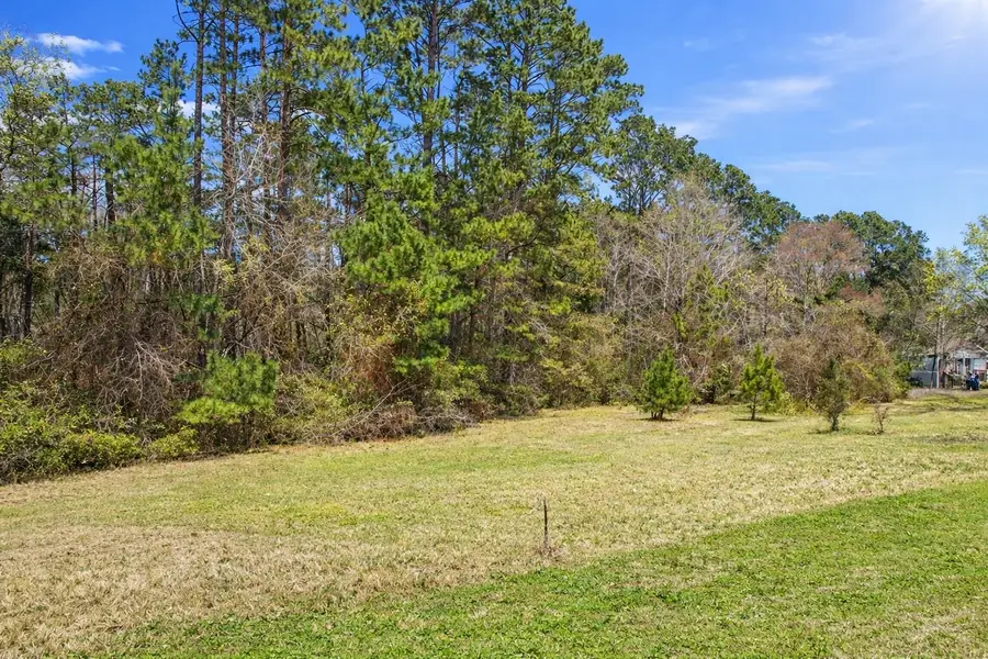 0321 Hickory Ridge Drive, Coldspring, TX 77331 - #2