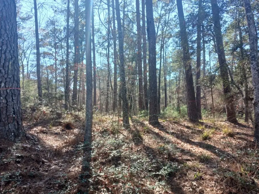 79 S Fairway Loop, Coldspring, TX 77331 - Image #2