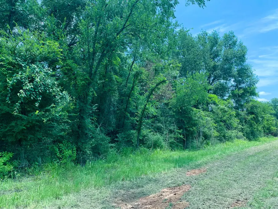 4958 County Road 426, Marquez, TX 77865 - Image #3