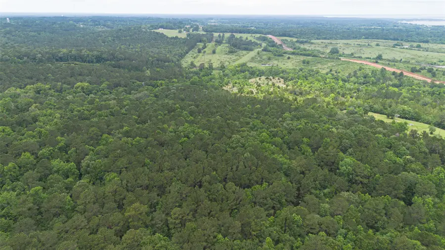 0 Rose Hill Road, Coldspring, TX 77331 - #3