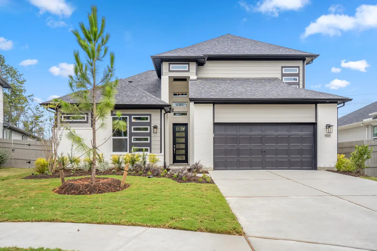 17307 Sunflower Petals Trail, Conroe, TX 77302 - #1
