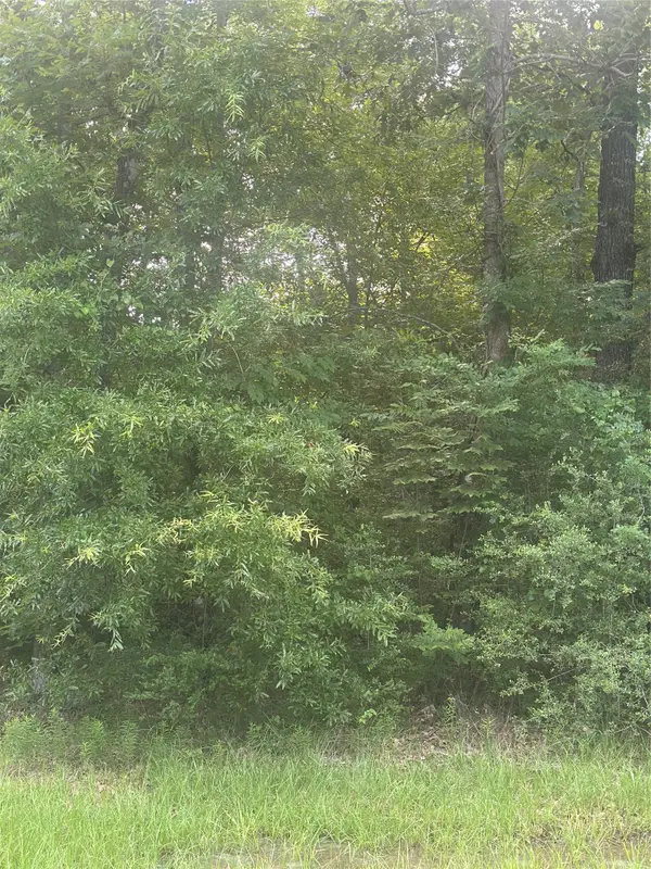 TBD Knottypine, Livingston, TX 77351