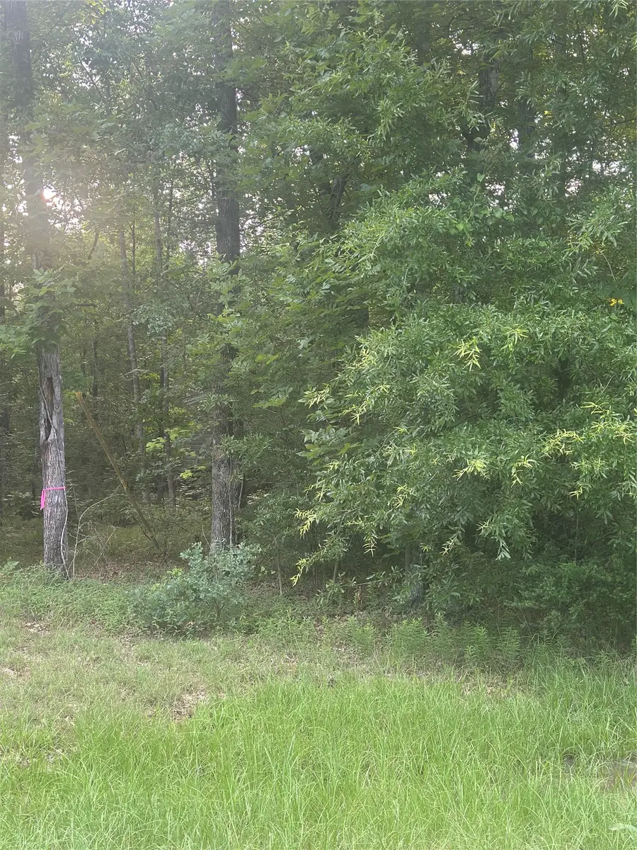 TBD Knottypine, Livingston, TX 77351 - #2
