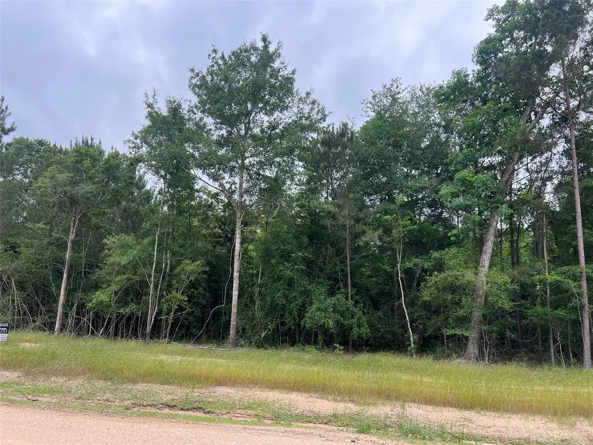 TBD Ellwood Dr, Livingston, TX 77351 - #1