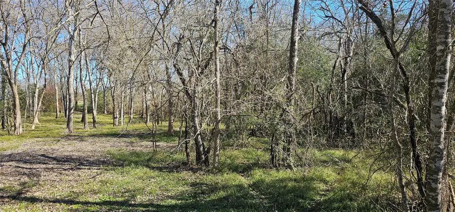 0 Winding Branch, Chappell Hill, TX 77426 - Image #2