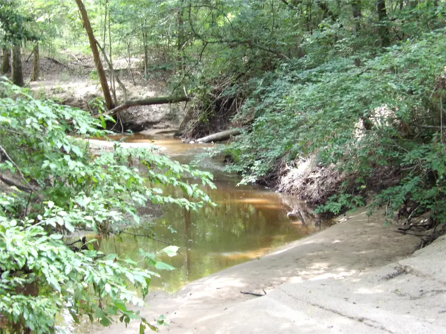 TBD Fsr 536, Kennard, TX 75847 - Image #2